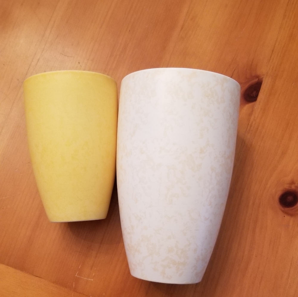 Villeroy and Boch set of 2 Vase